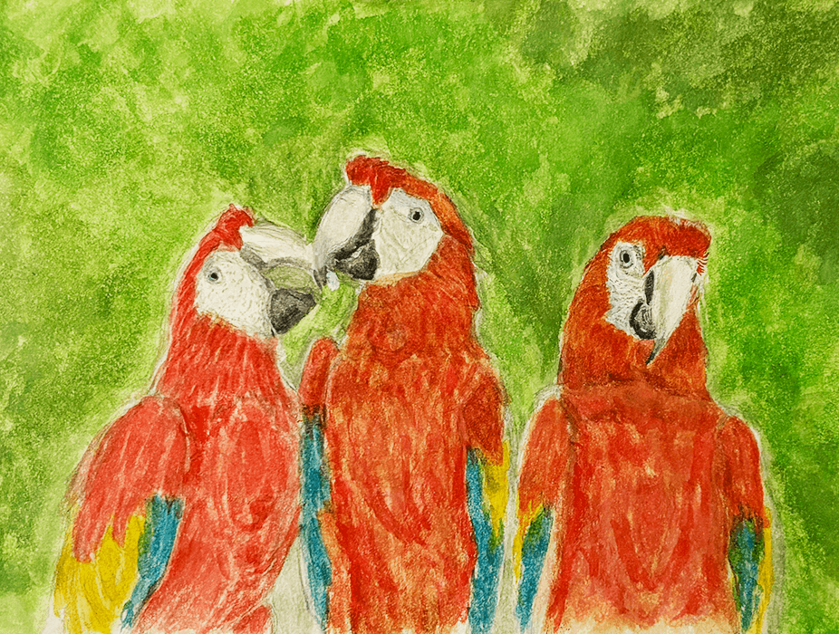 Between feathers and skin